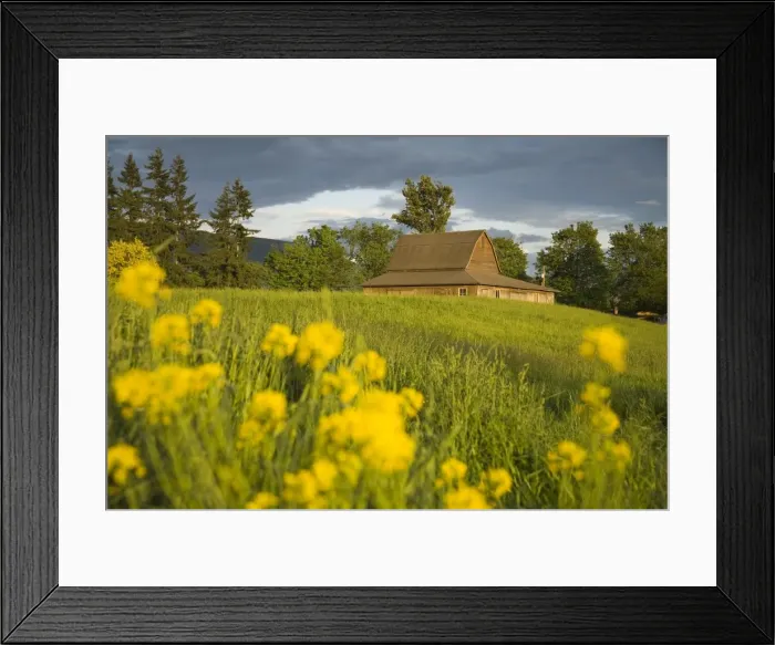 Framed Print : Barn, Sultan City, Stevens Pass Scenic Highway, Washington State, United States of America Framed Print : Barn, Sultan City, Stevens Pass Scenic Highway, Washington State, United States of America