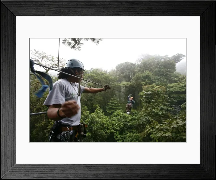 Framed Print : Canopy cable ride at Monteverde cloud forest, Costa Rica, Central America Framed Print : Canopy cable ride at Monteverde cloud forest, Costa Rica, Central America