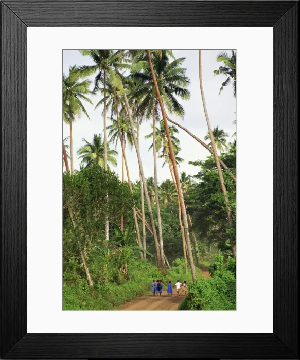 Framed Print : School children walking through coconut plantation, Taveuni Island, Fiji Framed Print : School children walking through coconut plantation, Taveuni Island, Fiji