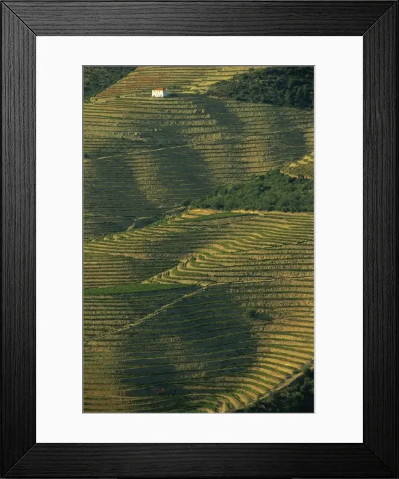 Framed Print : Terraced vineyards near Pinhao, Douro Valley, Portugal, Europe Framed Print : Terraced vineyards near Pinhao, Douro Valley, Portugal, Europe