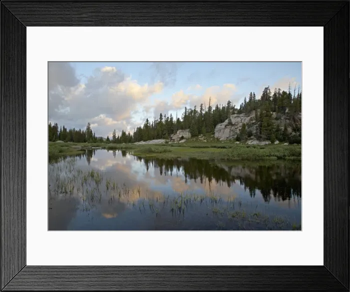 Framed Print : Litte Bear Creek at sunrise, Shoshone National Forest, Montana, United States of America Framed Print : Litte Bear Creek at sunrise, Shoshone National Forest, Montana, United States of America