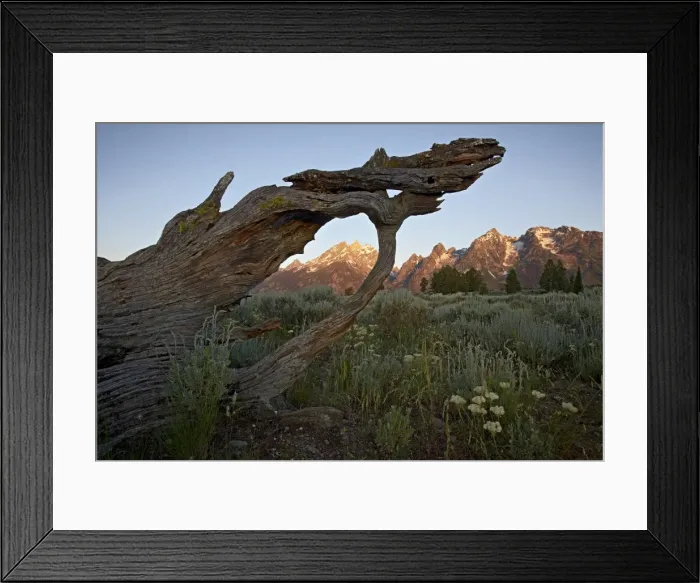Framed Print : Tetons at first light, Grand Teton National Park, Wyoming, United States of America Framed Print : Tetons at first light, Grand Teton National Park, Wyoming, United States of America