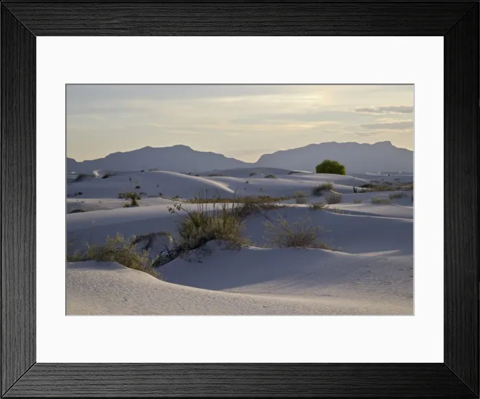 Framed Print : Sand dunes at dusk, White Sands National Monument, New Mexico, United States of America Framed Print : Sand dunes at dusk, White Sands National Monument, New Mexico, United States of America