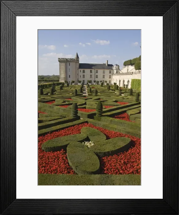 Framed Print : Part of the extensive ornamental flower and vegetable gardens, Chateau de Villandry
