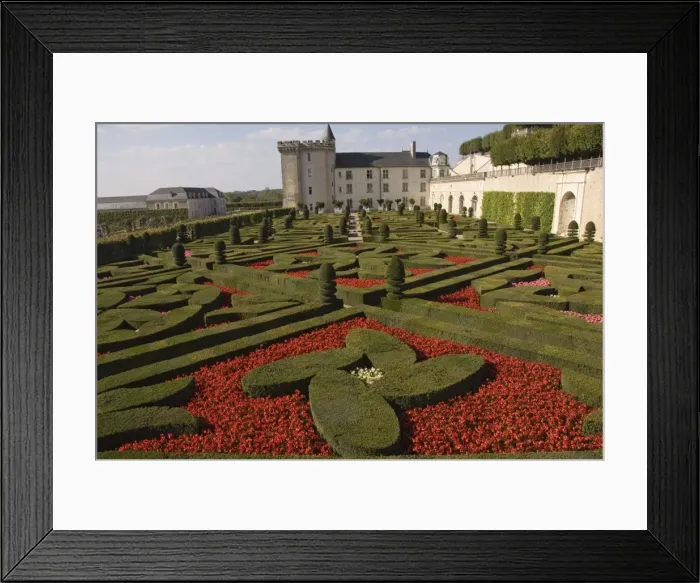 Framed Print : Part of the extensive flower and vegetable gardens, Chateau de Villandry Framed Print : Part of the extensive flower and vegetable gardens, Chateau de Villandry