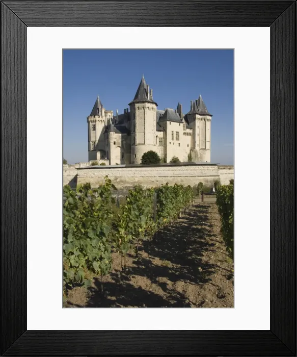 Framed Print : Vineyards around the Chateau de Saumur, Maine-et-Loire, Pays de la Loire, France, Europe Framed Print : Vineyards around the Chateau de Saumur, Maine-et-Loire, Pays de la Loire, France, Europe