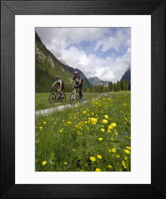 Framed Print : Cyclists riding through an alpine meadow, Valle di Landro, Hohlensteintal Framed Print : Cyclists riding through an alpine meadow, Valle di Landro, Hohlensteintal
