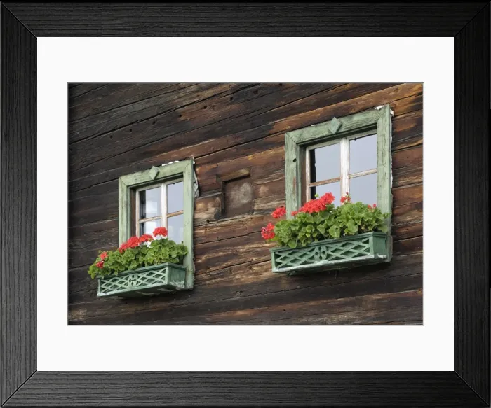 Framed Print : Typical window box, Otztal valley, Tyrol, Austria, Europe Framed Print : Typical window box, Otztal valley, Tyrol, Austria, Europe