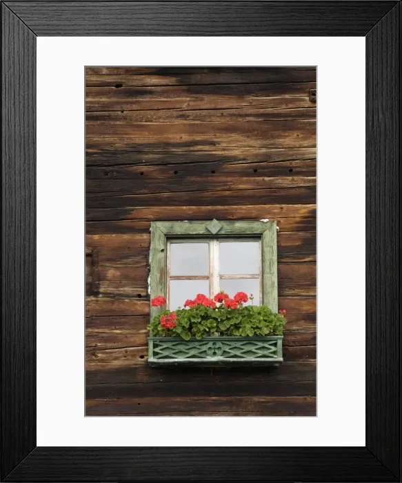 Framed Print : Typical window box, Otztal valley, Tyrol, Austria, Europe Framed Print : Typical window box, Otztal valley, Tyrol, Austria, Europe