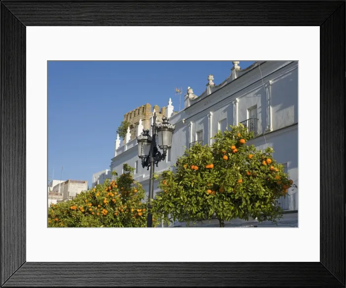 Framed Print : Orange trees, Vejer de la Frontera, Andalucia, Spain, Europe Framed Print : Orange trees, Vejer de la Frontera, Andalucia, Spain, Europe