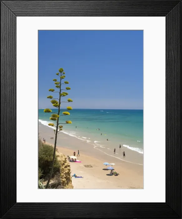 Framed Print : Conil de la Frontera, Costa de la Luz, Andalucia, Spain, Europe Framed Print : Conil de la Frontera, Costa de la Luz, Andalucia, Spain, Europe