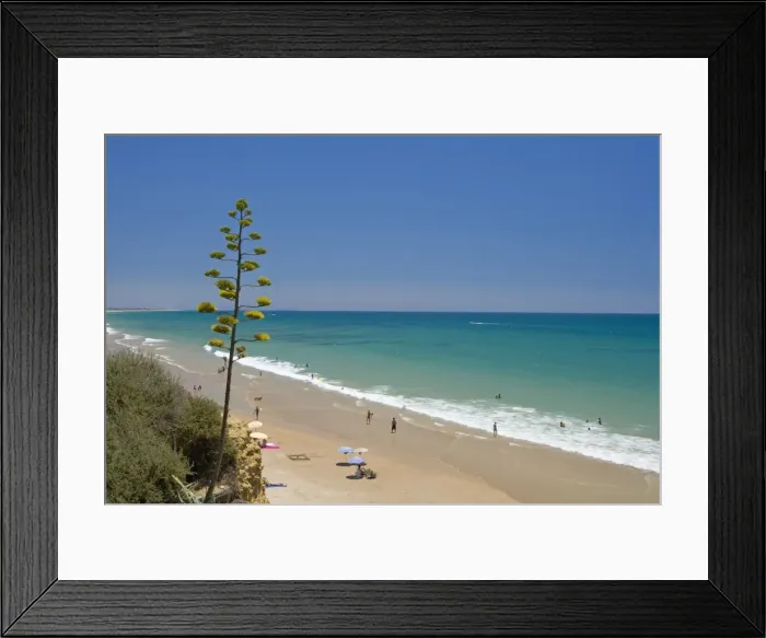 Framed Print : Conil de la Frontera, Costa de la Luz, Andalucia, Spain, Europe Framed Print : Conil de la Frontera, Costa de la Luz, Andalucia, Spain, Europe