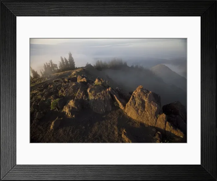 Framed Print : Deer Park, Olympic National Park, UNESCO World Heritage Site, Washington Framed Print : Deer Park, Olympic National Park, UNESCO World Heritage Site, Washington