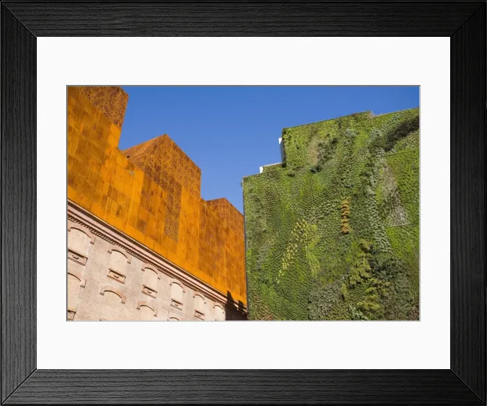 Framed Print : Vertical garden by Patrick Blanc, Caixa Forum foundation, Madrid, Spain, Europe Framed Print : Vertical garden by Patrick Blanc, Caixa Forum foundation, Madrid, Spain, Europe