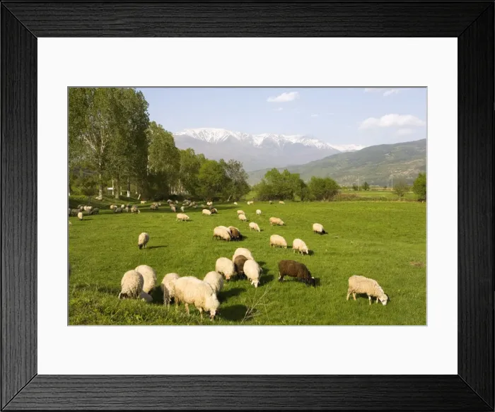 Framed Print : Countryside near Rila Mountains, Bulgaria, Europe Framed Print : Countryside near Rila Mountains, Bulgaria, Europe