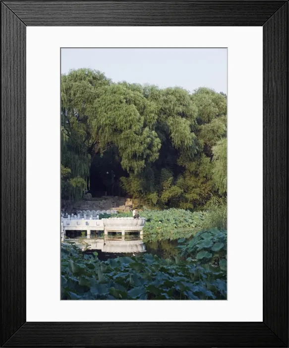 Framed Print : Man fishing at Zizhuyuan Black Bamboo Park, Beijing, China, Asia Framed Print : Man fishing at Zizhuyuan Black Bamboo Park, Beijing, China, Asia