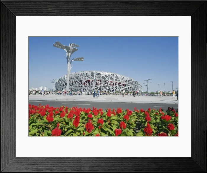 Framed Print : Flowers and The Birds Nest National Stadium designed by Herzog and de Meuren in the Olympic Green Framed Print : Flowers and The Birds Nest National Stadium designed by Herzog and de Meuren in the Olympic Green