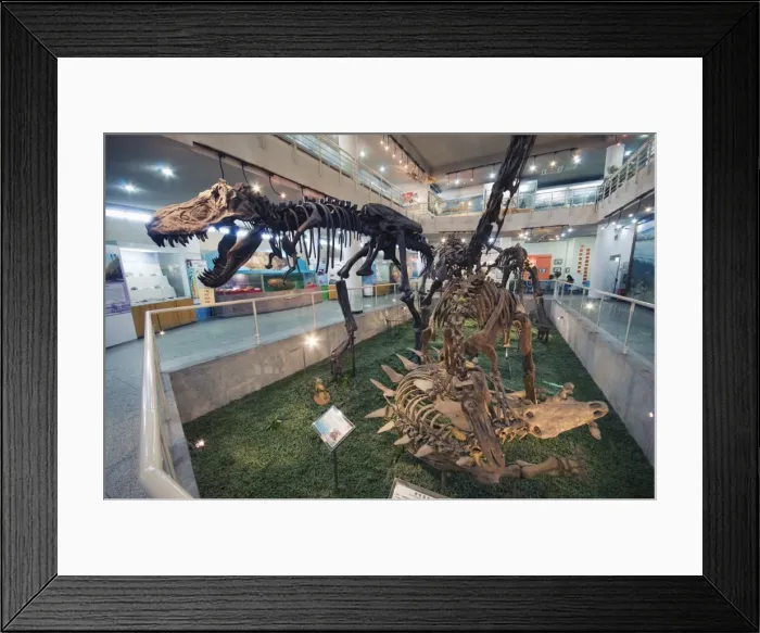 Framed Print : Paleozoological Museum of China, Beijing, China, Asia Framed Print : Paleozoological Museum of China, Beijing, China, Asia