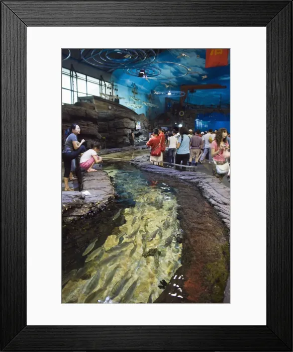 Framed Print : Beijing Aquarium, Beijing, China, Asia Framed Print : Beijing Aquarium, Beijing, China, Asia
