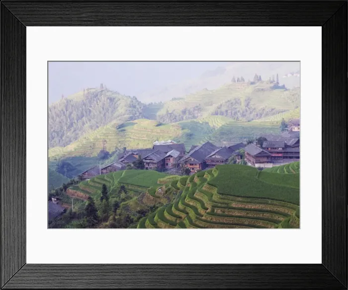 Framed Print : Dragons Backbone rice terraces, Longsheng, Guangxi Province, China, Asia Framed Print : Dragons Backbone rice terraces, Longsheng, Guangxi Province, China, Asia