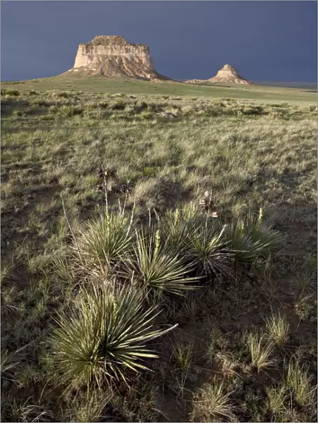 Pawnee Buttes, Pawnee National Grassland, Colorado, United States of America