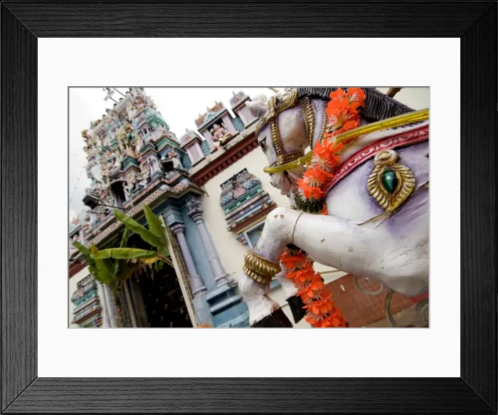 Framed Print : Hindu festival, Georgetown, Penang, Malaysia, Southeast Asia, Asia Framed Print : Hindu festival, Georgetown, Penang, Malaysia, Southeast Asia, Asia