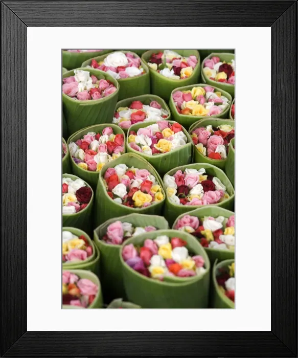 Framed Print : Roses for sale, Chatuchak weekend market, Bangkok, Thailand, Southeast Asia, Asia Framed Print : Roses for sale, Chatuchak weekend market, Bangkok, Thailand, Southeast Asia, Asia