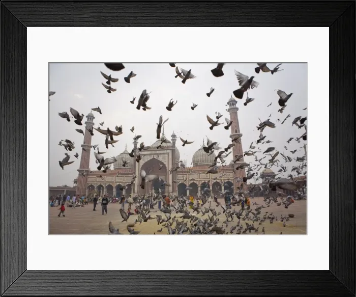 Framed Print : Jama Masjid mosque, Delhi, India, Asia
