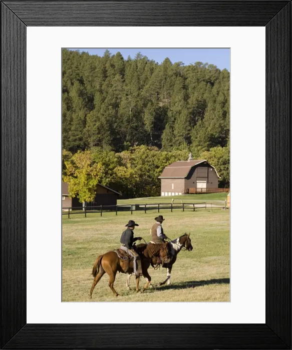 Framed Print : Custer State Park, Black Hills, South Dakota, United States of America, North America Framed Print : Custer State Park, Black Hills, South Dakota, United States of America, North America