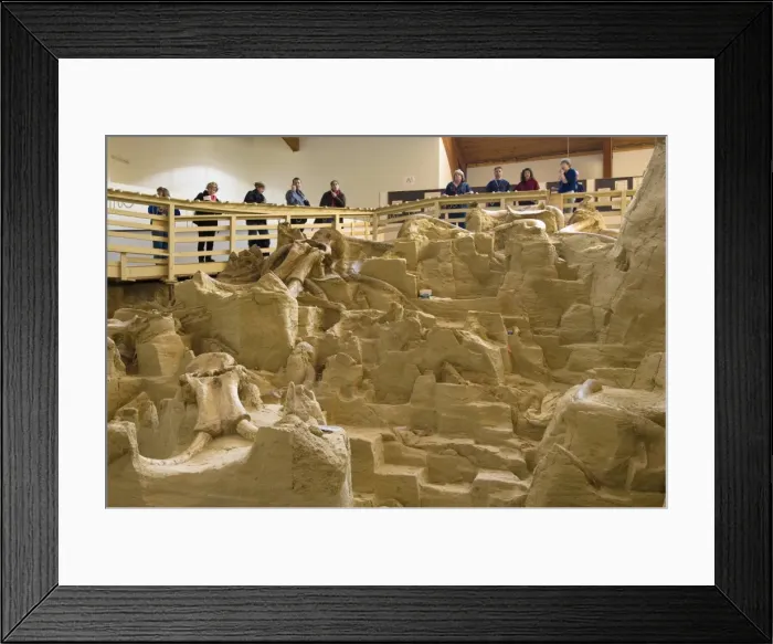 Framed Print : The Mammoth Site, Hot Springs, Black Hills, South Dakota, United States of America