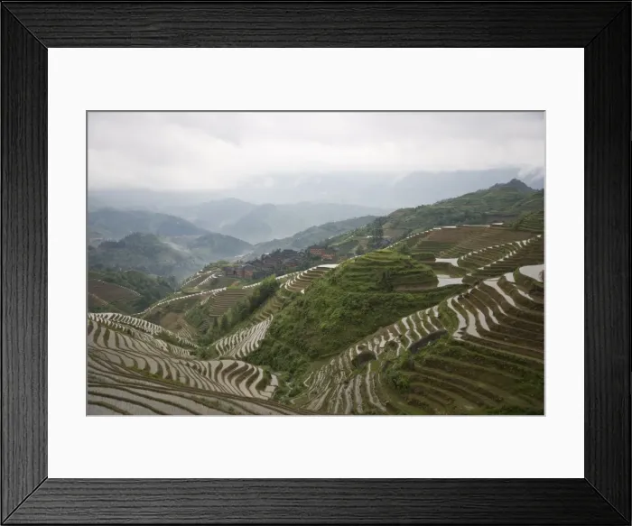 Framed Print : Terraced ricefields of Longshen, Guilin, Guangxi Province, China, Asia Framed Print : Terraced ricefields of Longshen, Guilin, Guangxi Province, China, Asia