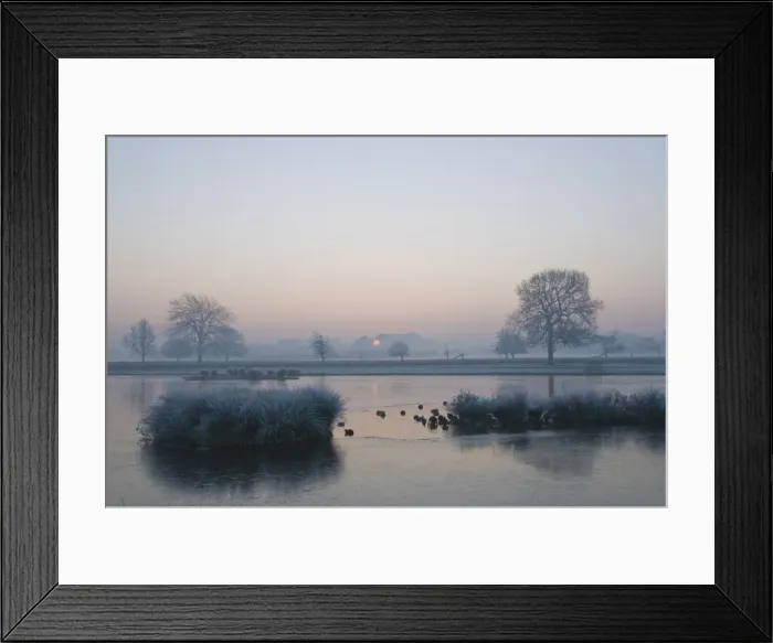 Framed Print : Misty sunrise over Heron Pond, Bushy Park, London, England, United Kingdom, Europe Framed Print : Misty sunrise over Heron Pond, Bushy Park, London, England, United Kingdom, Europe