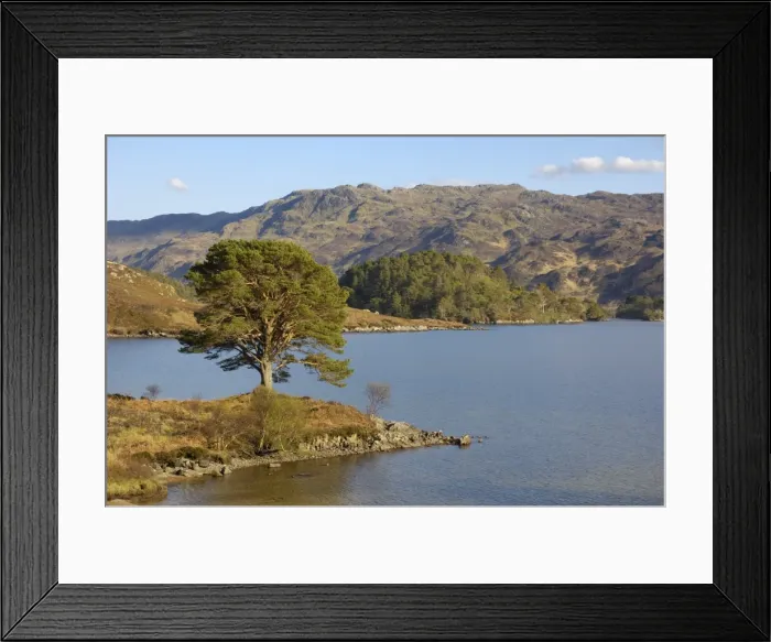 Framed Print : Loch Morar, Highlands, Scotland, United Kingdom, Europe Framed Print : Loch Morar, Highlands, Scotland, United Kingdom, Europe