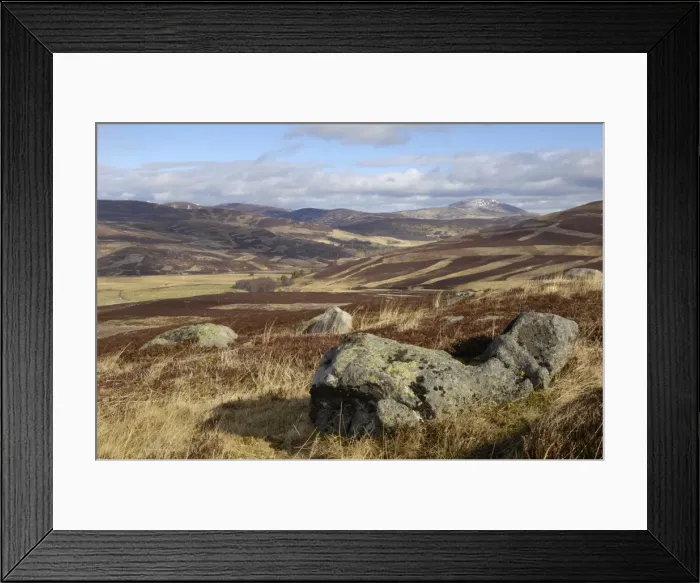 Framed Print : Moorland of the Cairngorm National Park, between Crathie and Gairnshiel Framed Print : Moorland of the Cairngorm National Park, between Crathie and Gairnshiel