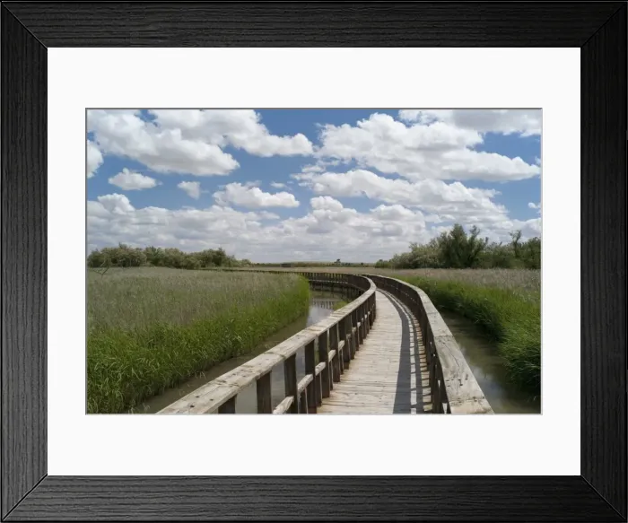 Framed Print : Boardwalk in the Tablas de Daimiel National Park, La Mancha, Spain, Europe Framed Print : Boardwalk in the Tablas de Daimiel National Park, La Mancha, Spain, Europe