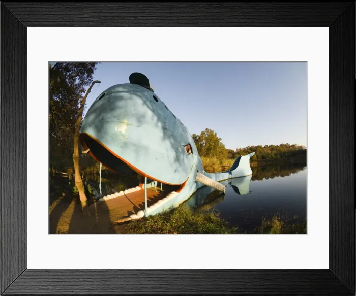 Framed Print : Blue Whale, Route 66, Oklahoma, United States of America, North America Framed Print : Blue Whale, Route 66, Oklahoma, United States of America, North America