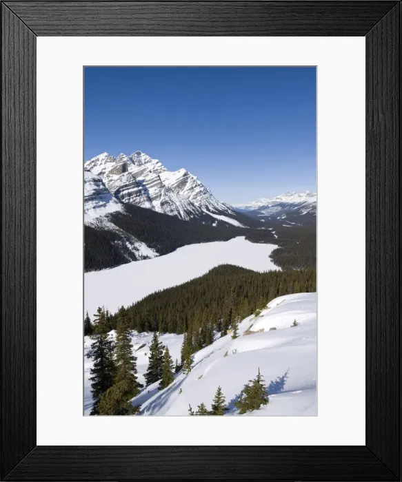 Framed Print : Peyto Lake, Bow Summit, Banff National Park, UNESCO World Heritage Site Framed Print : Peyto Lake, Bow Summit, Banff National Park, UNESCO World Heritage Site