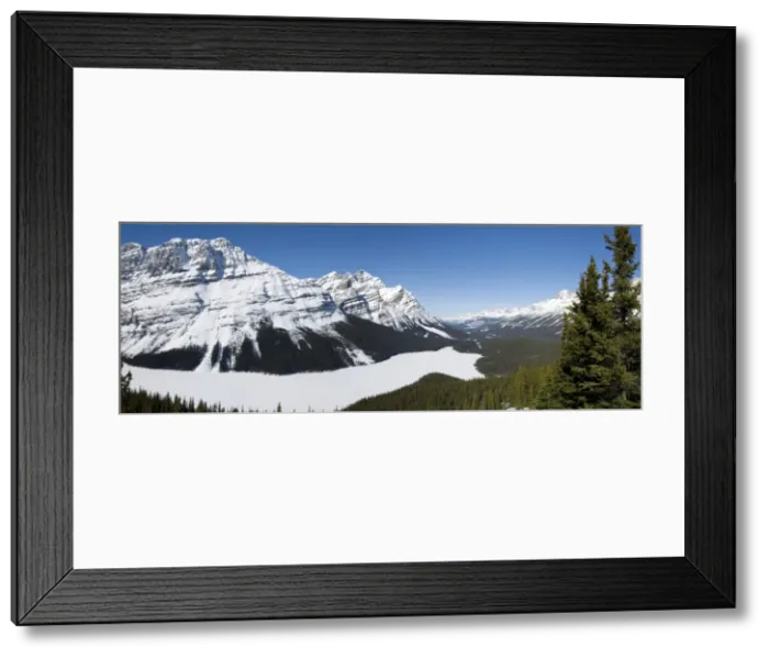 Framed Print : Peyto Lake, Bow Summit, Banff National Park, UNESCO World Heritage Site Framed Print : Peyto Lake, Bow Summit, Banff National Park, UNESCO World Heritage Site