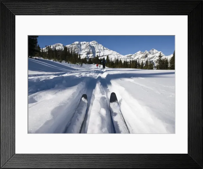 Framed Print : Bow Summit, Banff National Park, UNESCO World Heritage Site, Rocky Mountains Framed Print : Bow Summit, Banff National Park, UNESCO World Heritage Site, Rocky Mountains