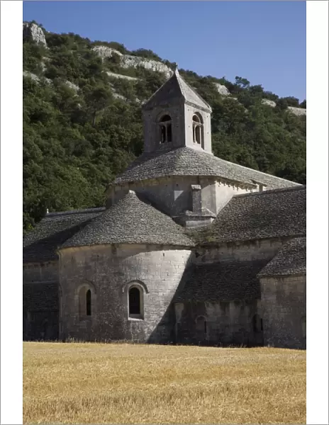 Senanque Abbey, Vaucluse, Provence, France, Europe