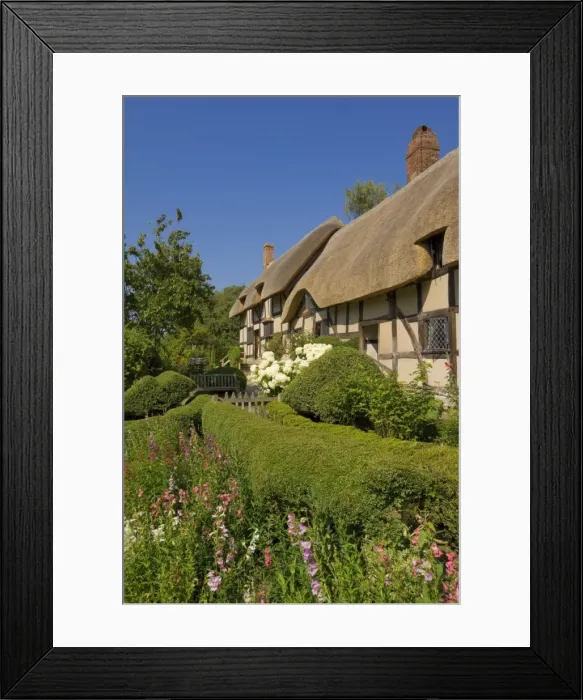 Framed Print : Cottage garden at Anne Hathaways thatched cottage, Shottery, near Stratford-upon-Avon Framed Print : Cottage garden at Anne Hathaways thatched cottage, Shottery, near Stratford-upon-Avon