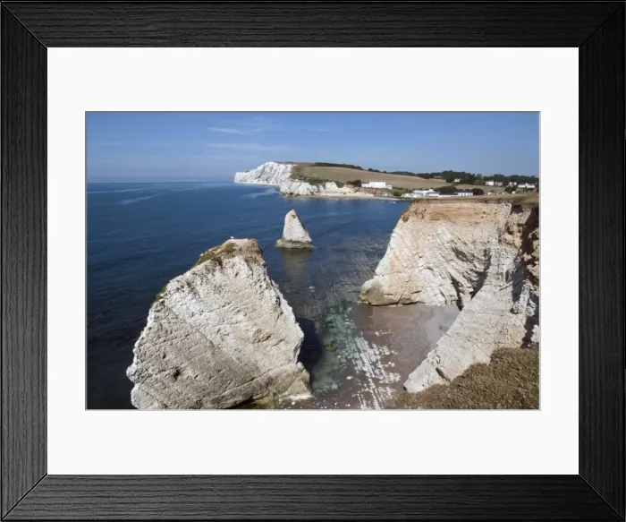Framed Print : Freshwater Bay from Afton Down Framed Print : Freshwater Bay from Afton Down