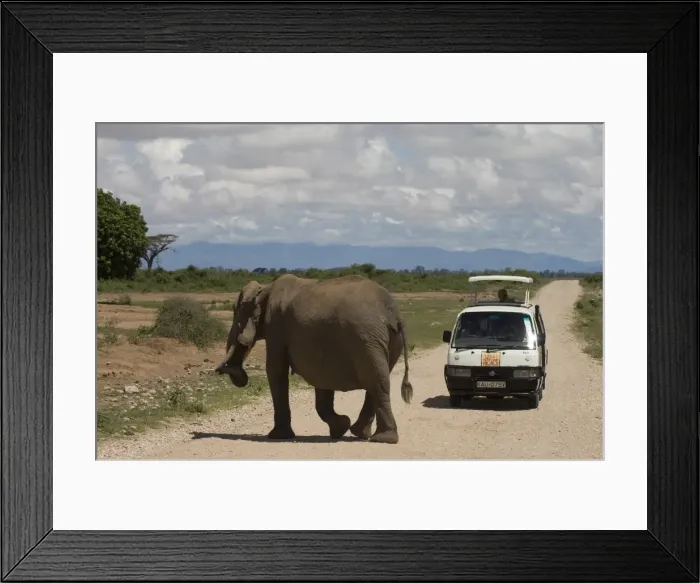 Framed Print : Elephant and tourist bus, Amboseli National Park, Kenya, East Africa, Africa Framed Print : Elephant and tourist bus, Amboseli National Park, Kenya, East Africa, Africa
