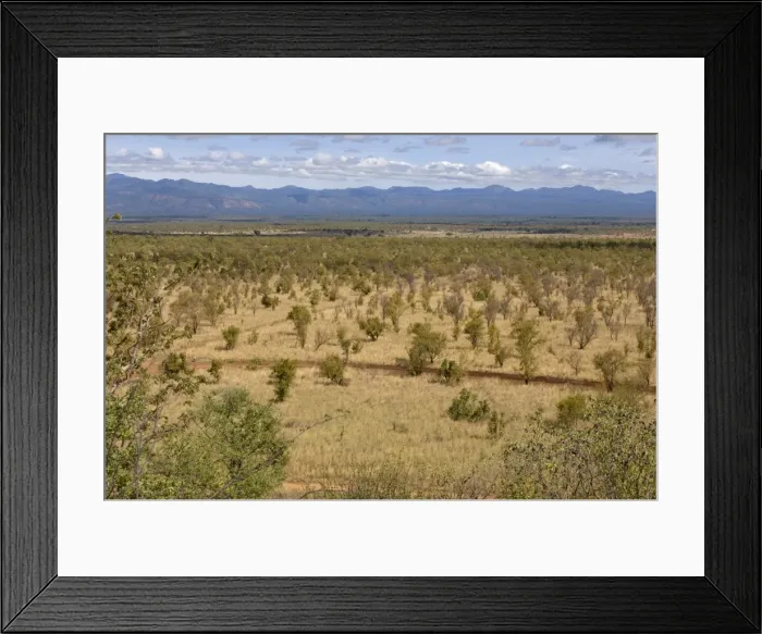 Framed Print : Meru National Park, Kenya, East Africa, Africa Framed Print : Meru National Park, Kenya, East Africa, Africa