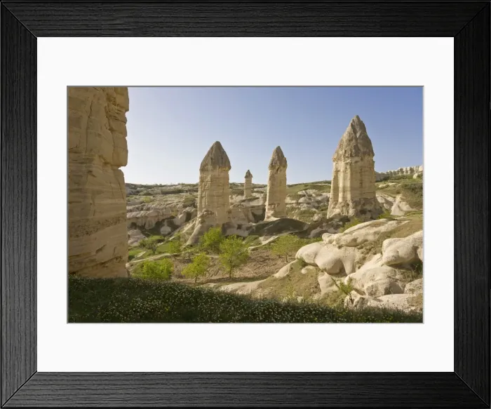 Framed Print : Phallic pillars known as fairy chimneys in the valley known as Love Valley near Goreme in Cappadocia, Anatolia, Turkey, Asia Framed Print : Phallic pillars known as fairy chimneys in the valley known as Love Valley near Goreme in Cappadocia, Anatolia, Turkey, Asia