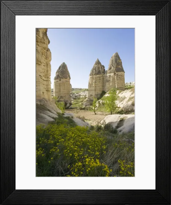Framed Print : Phallic pillars known as fairy chimneys in the valley known as Love Valley near Goreme in Cappadocia, Anatolia, Turkey, Asia Framed Print : Phallic pillars known as fairy chimneys in the valley known as Love Valley near Goreme in Cappadocia, Anatolia, Turkey, Asia