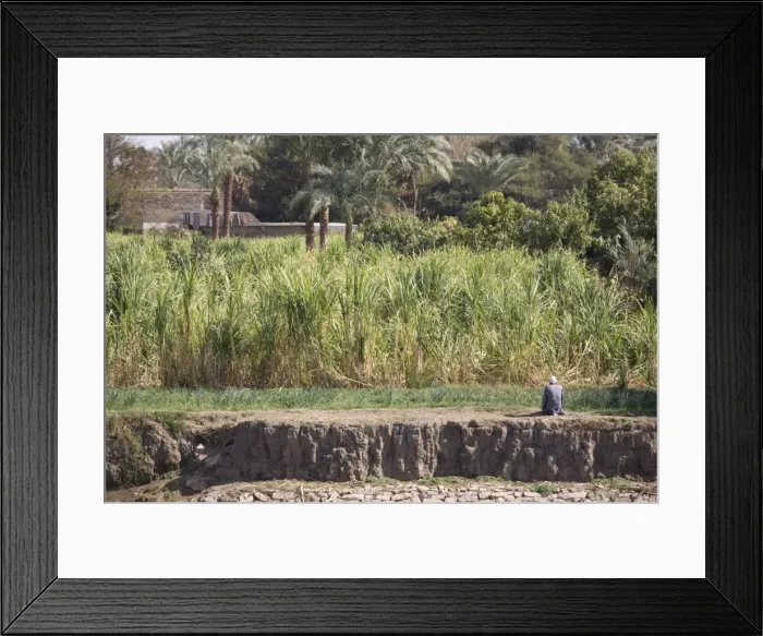 Framed Print : Praying, life along the Nile, Egypt, North Africa, Africa Framed Print : Praying, life along the Nile, Egypt, North Africa, Africa