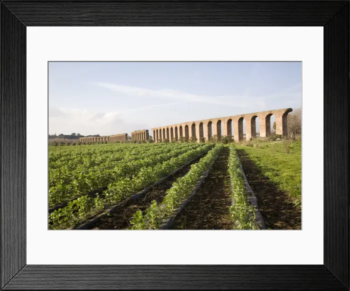 Framed Print : Felice Aqueduct, along the Via Appia (Appia road), Rome, Lazio, Italy, Europe Framed Print : Felice Aqueduct, along the Via Appia (Appia road), Rome, Lazio, Italy, Europe