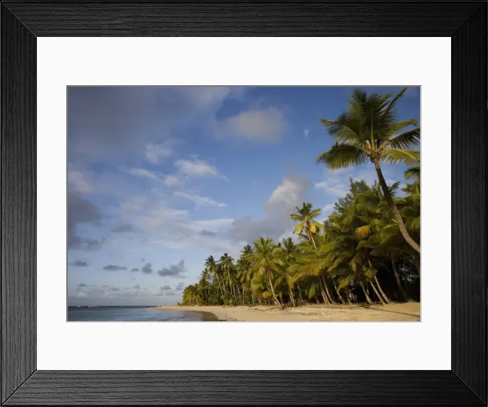 Framed Print : Las Terrenas, Samana Peninsula, Dominican Republic, West Indies, Caribbean Framed Print : Las Terrenas, Samana Peninsula, Dominican Republic, West Indies, Caribbean