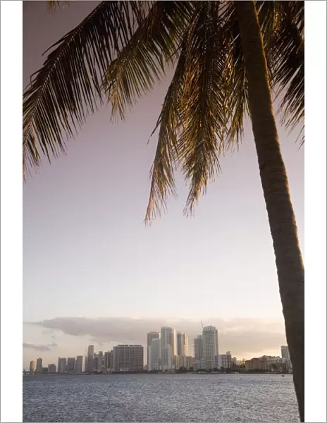Downtown Miami skyline, Miami, Florida, United States of America, North America